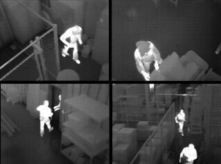 Termokamera FLIR D-series vhodná pro bezpečnostní aplikace