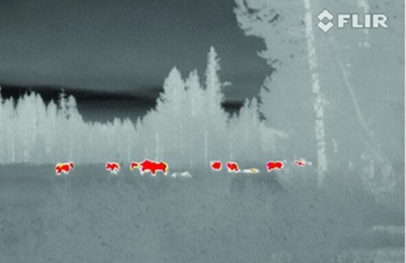 Termovize FLIR Scout III 640 pro noční vidění