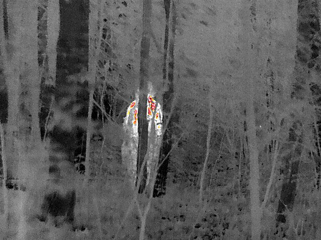 Termovize FLIR Scout Pro III